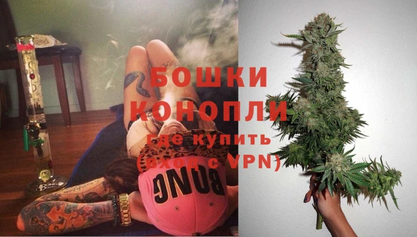 ГАЛЛЮЦИНОГЕННЫЕ ГРИБЫ Нея