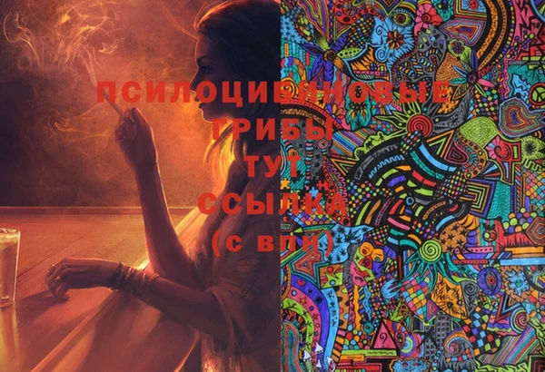 мяу мяу мука Касимов
