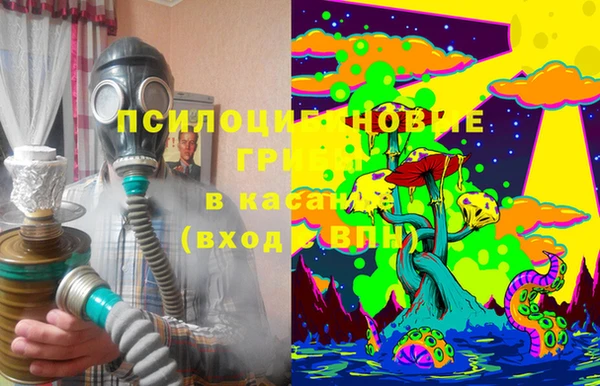 прущая мука Алзамай