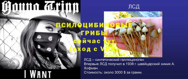 прущая мука Алзамай