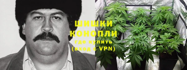 прущая мука Алзамай