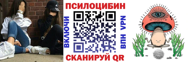 mega вход  Сураж  Псилоцибиновые грибы GOLDEN TEACHER 